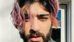 Zayn Malik delights his fans with rare selfie after unfollowing ex-Gigi Hadid