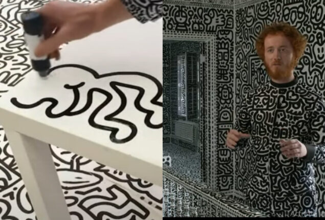 British artist draws doodles in entire mansion