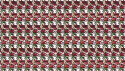 Find Santa Claus with the Heaviest Sack in This Image!