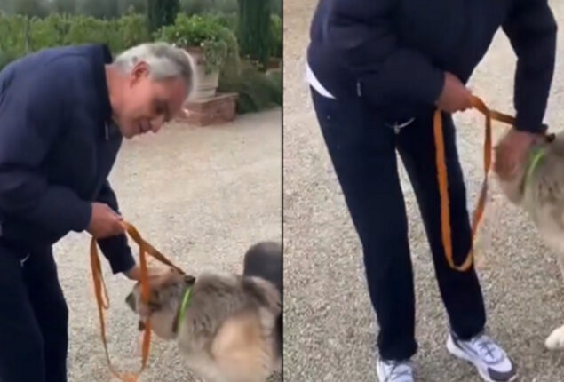 Andrea Bocelli saves dog from Putin’s bombs