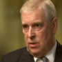 Prince Andrew “looked much like a victim of a cull” at Christmas event