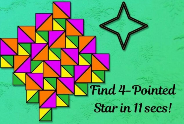 Brain Puzzle: Can you see the 4-pointed star in 11 seconds?