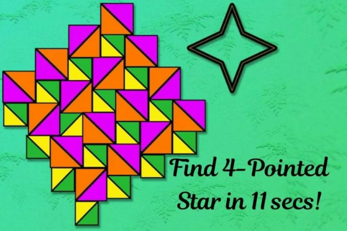 Brain Puzzle