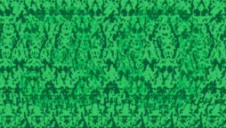 Optical Illusion: Find the hidden number in 11 seconds
