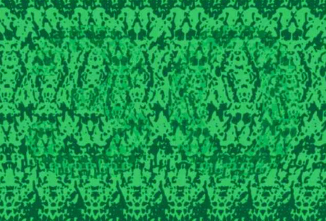 Optical Illusion: Find the hidden number in 11 seconds