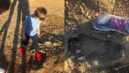 Dog “smelled” on seaside walk and spotted “Bigfoot footsteps”