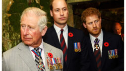 King Charles gets closer to William & Kate thanks to Harry’s rift