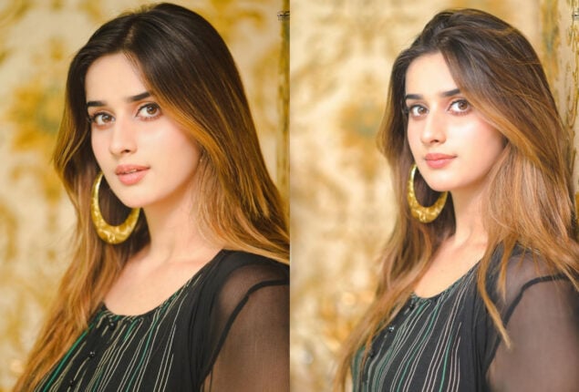TikTok star Alishbah Anjum leaves fans amused with new video
