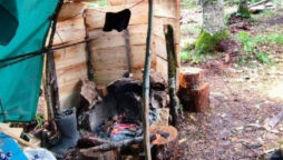 Russian man braves bears to avoid Putin's call-up
