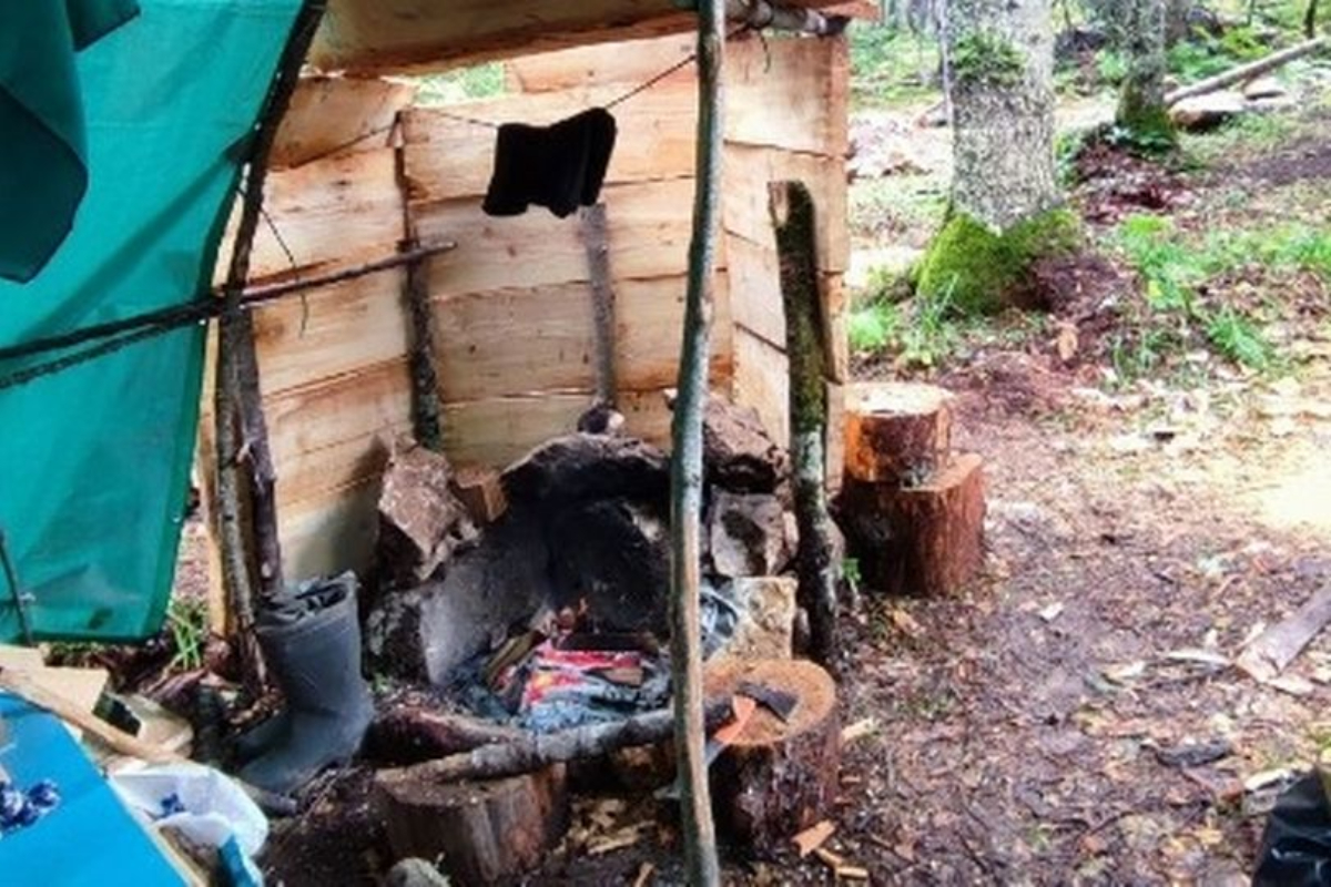 Russian man braves bears to avoid Putin's call-up