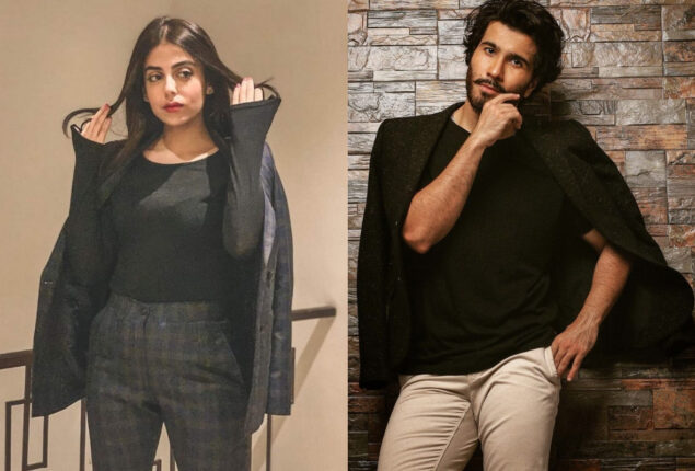 ‘Feroze Khan can play Mr. Grey from 50 Shades’ when Yashma Gill remarked