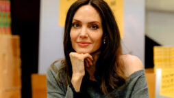 Angelina Jolie claims Brad Pitt swore and choked their children midair