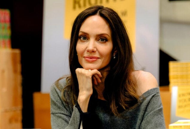 Angelina Jolie claims Brad Pitt swore and choked their children midair