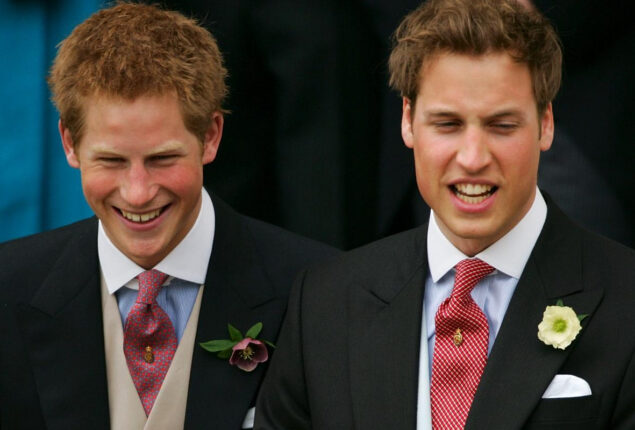 Prince William once teased Prince Harry disguising as Duke’s ex