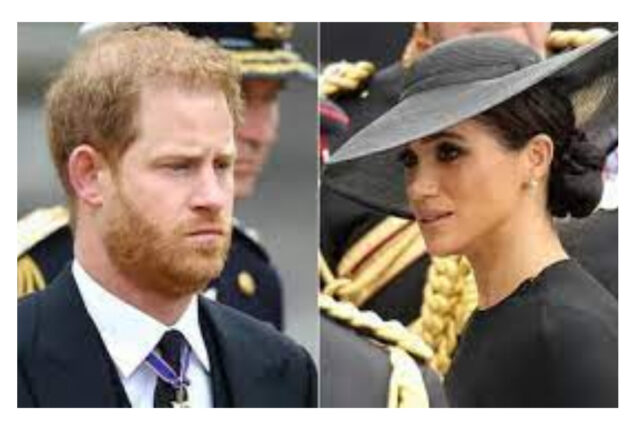 Prince Harry, Meghan Markle criticised for 'breathless vulgarity'