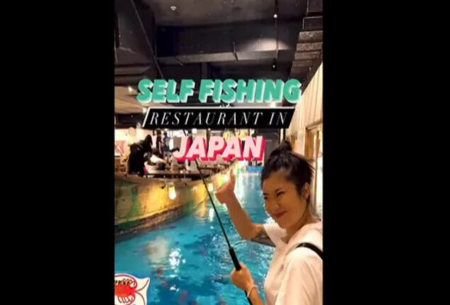Japanese restaurants allow users to catch and cook fish: Watch