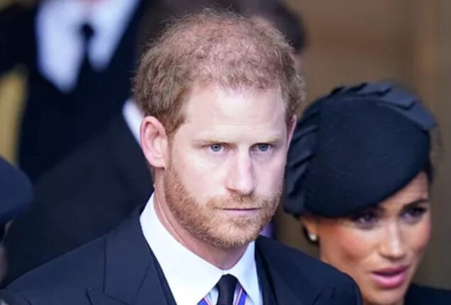 Prince Harry said some ‘really nasty things’ about Queen Consort Camila: Royal author