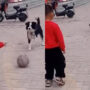 Watch viral: Young boy plays football with dog without being careful