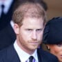 Prince Harry said some ‘really nasty things’ about Queen Consort Camila: Royal author