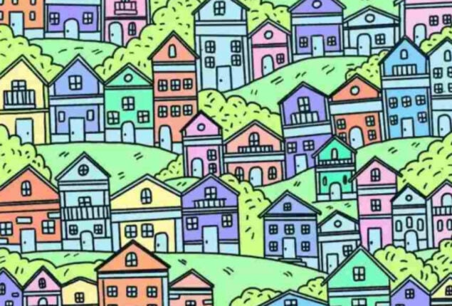 Optical Illusion: Can You Find the Doorless House in 9 Seconds?