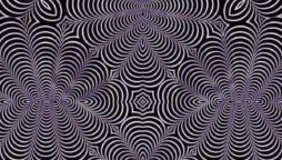 One in 1,000 may see this optical illusion