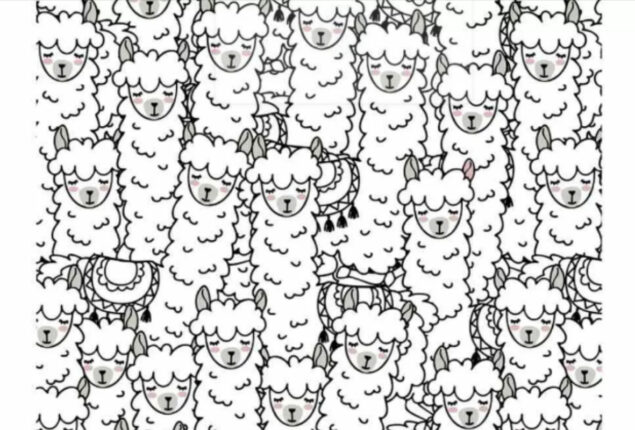 Brain puzzle: Find the strange Llama with different-colored ears in 6 seconds