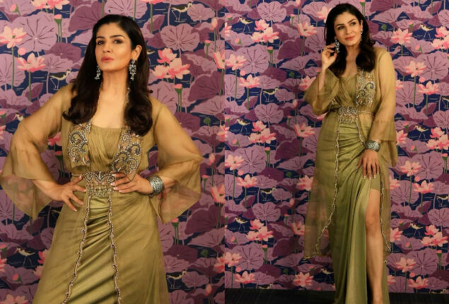 Watch: Raveena Tandon celebrates her birthday in style