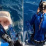 Video shows marine scientist nearly diving into Tiger Shark’s mouth