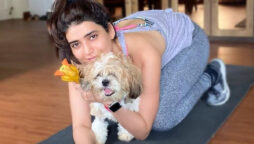 Karishma Tanna wants her dogs to ‘feel special on Diwali'