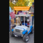 Best Halloween dog parade costumes video amuses