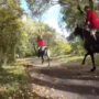 Hunt saboteur injured by fast car while trying to interrupt hunting meet