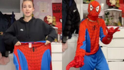 Spiderman Halloween costume