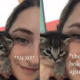Watch viral: Kitten that can’t stop crying after being held by its mom