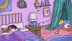 Optical Illusion: Find the Tooth Fairy inside the bedroom in 15 secs