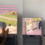 Watch: Video begins with dog watching bear-themed show on TV