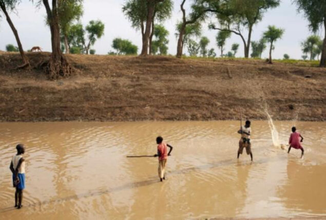 1.4 million children malnourished in South Sudan, says Save the Children