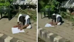 Watch: Girl Spotted Studying Under Traffic Light Inspires Internet