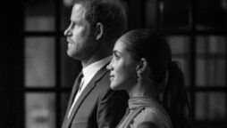 Photo of Prince Harry, Meghan Markle overshadow ‘Future of the monarchy’ picture released by palace