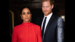 Meghan Markle targeted Prince Harry for ‘money and fame: Expert