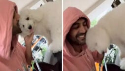 Kartik Aaryan shares cute video of pet dog Katori sitting on his car