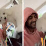 Kartik Aaryan shares cute video of pet dog Katori sitting on his car