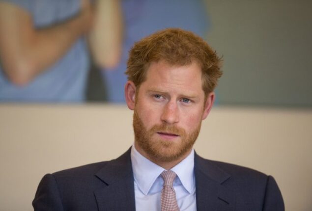 Royal family called Prince Harry’s book “Spare” a “time bomb”