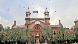 LHC directs PPSC to decide BS-17 candidates for Excise, Taxation dept
