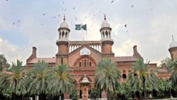 LHC PTI MNAs