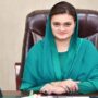 MILGEM warships induction into Pak Navy arsenal to maintain peace in region: Marriyum