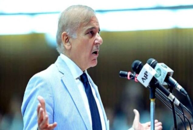 PM asks Punjab, KP to rise above politics amid floods