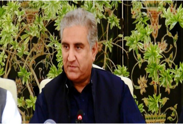 ECP should carry out constitutional responsibility: Shah Mahmood Qureshi