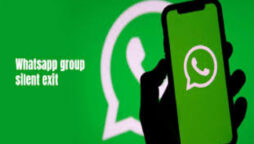 Whatsapp Users