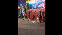 Woman dances to Yaad Aa Raha Hai Tera Pyar near a puja pandal