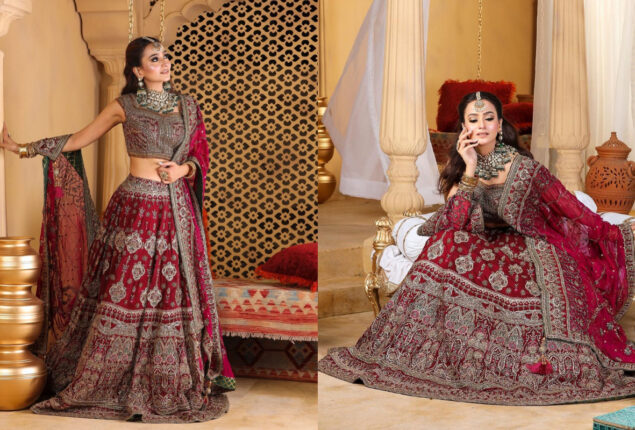 Zarnish Khan showed her swag in bridal photo-shoot